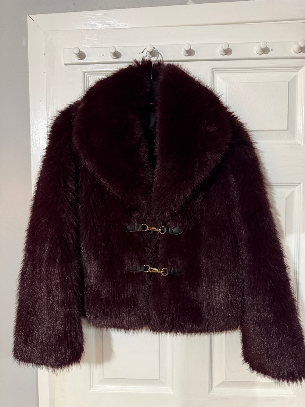 Zara Plush Teddy Jacket in Deep Burgundy